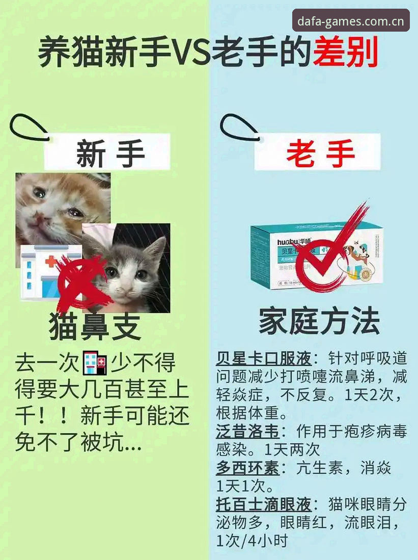 大发电子平台评测必备：新手选版vs老手挑功能，哪个更实用？